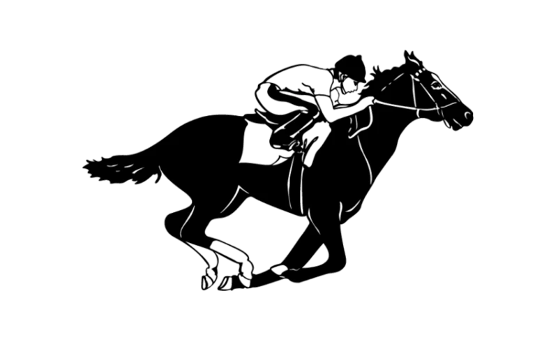 Place your bets on the Bangladesh Derby at the Melbet bookmaker's website.